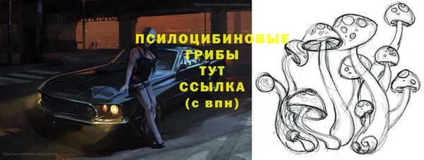 МДПВ Белокуриха