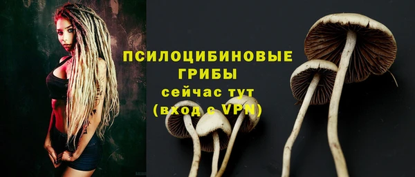 прущие грибы Балабаново
