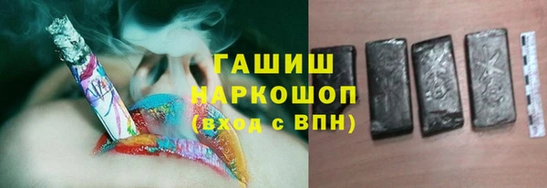 стаф Богданович