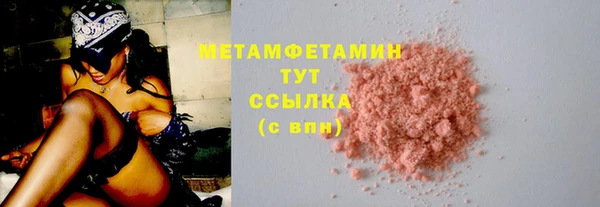 стаф Богданович